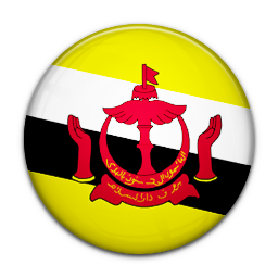  Брунейцы  фамилии 