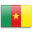 Камерун фамилии 